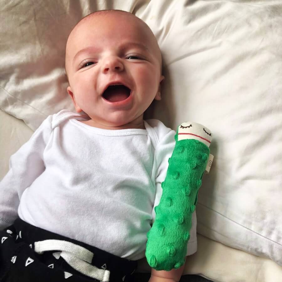 PICKLE - SOFT TOY RATTLE