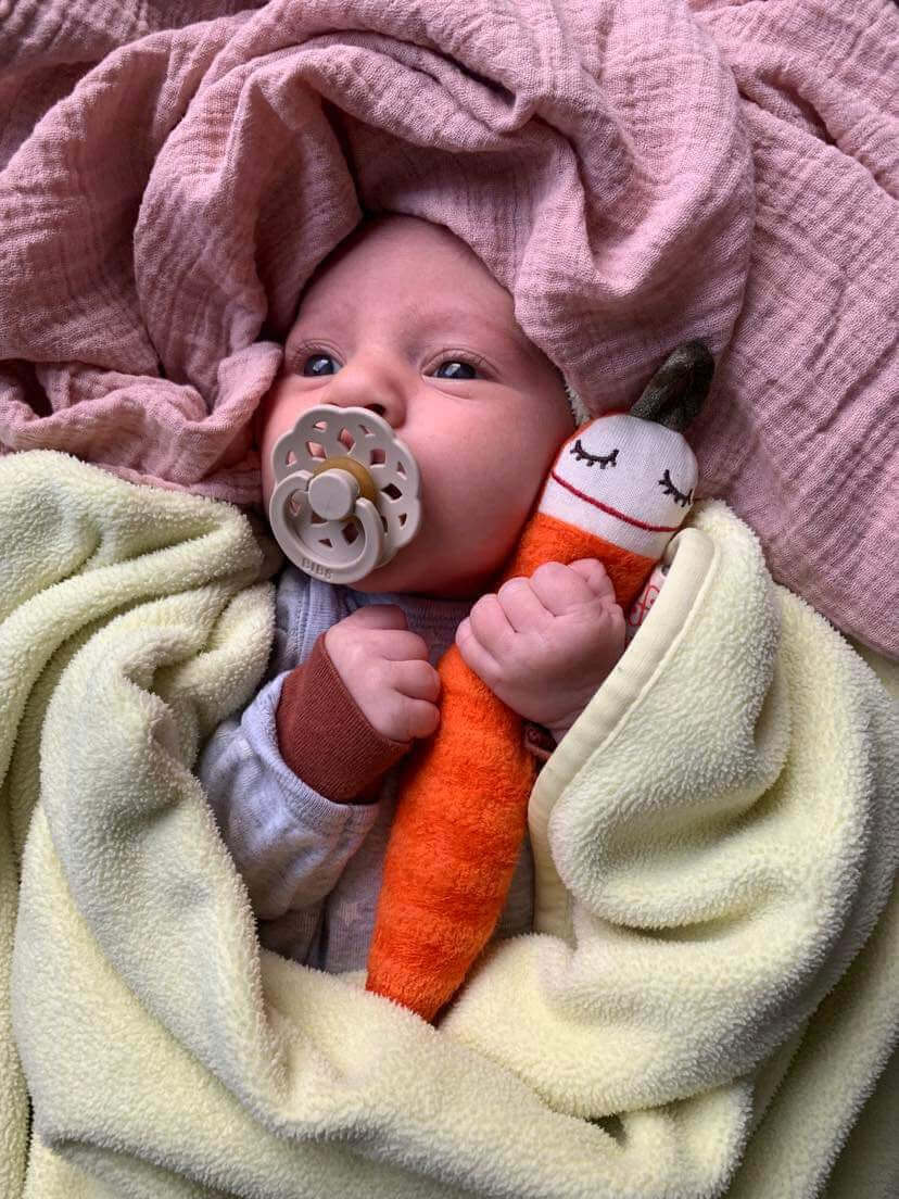 CARROT - SOFT TOY RATTLE