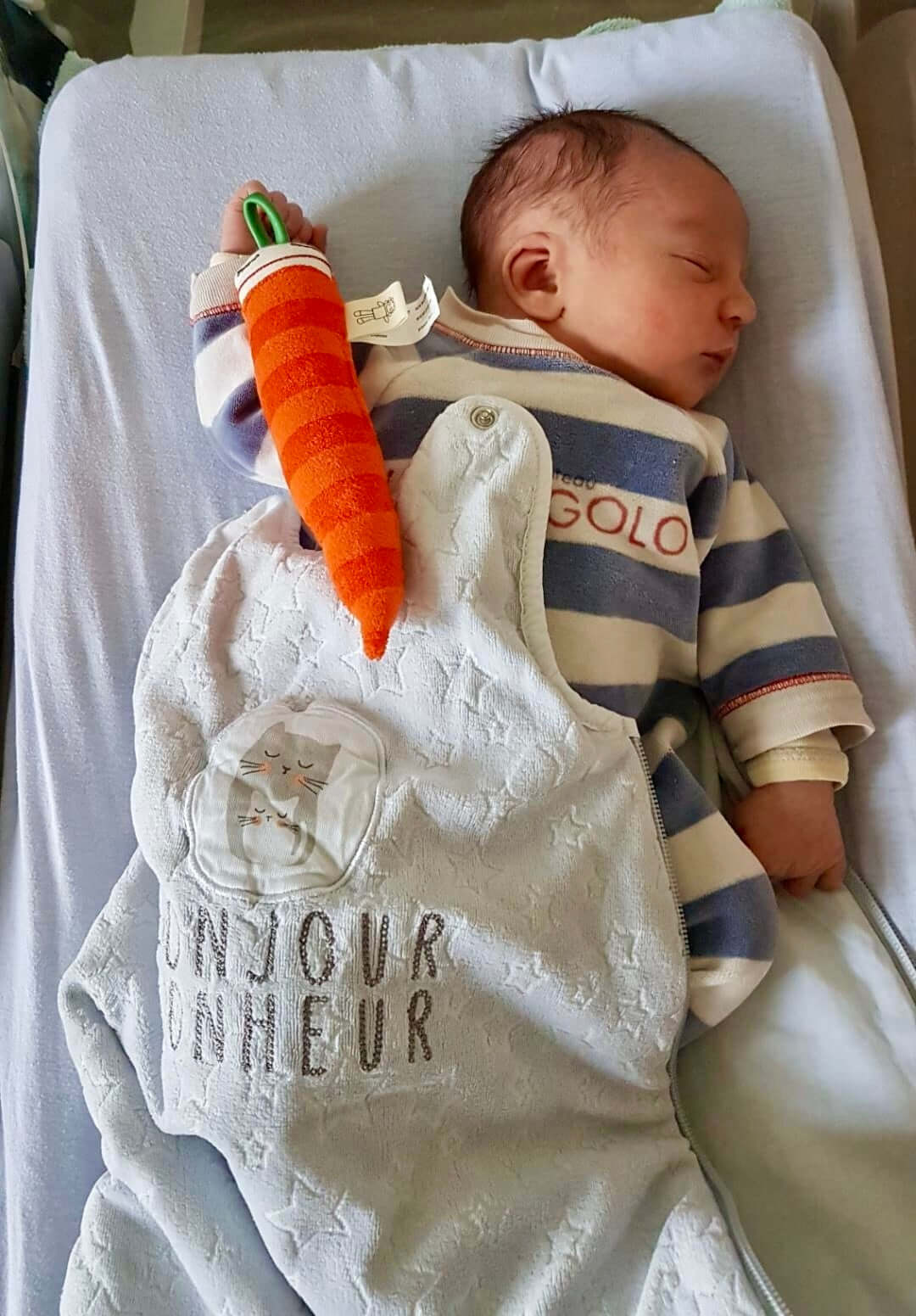 CARROT - SOFT TOY RATTLE
