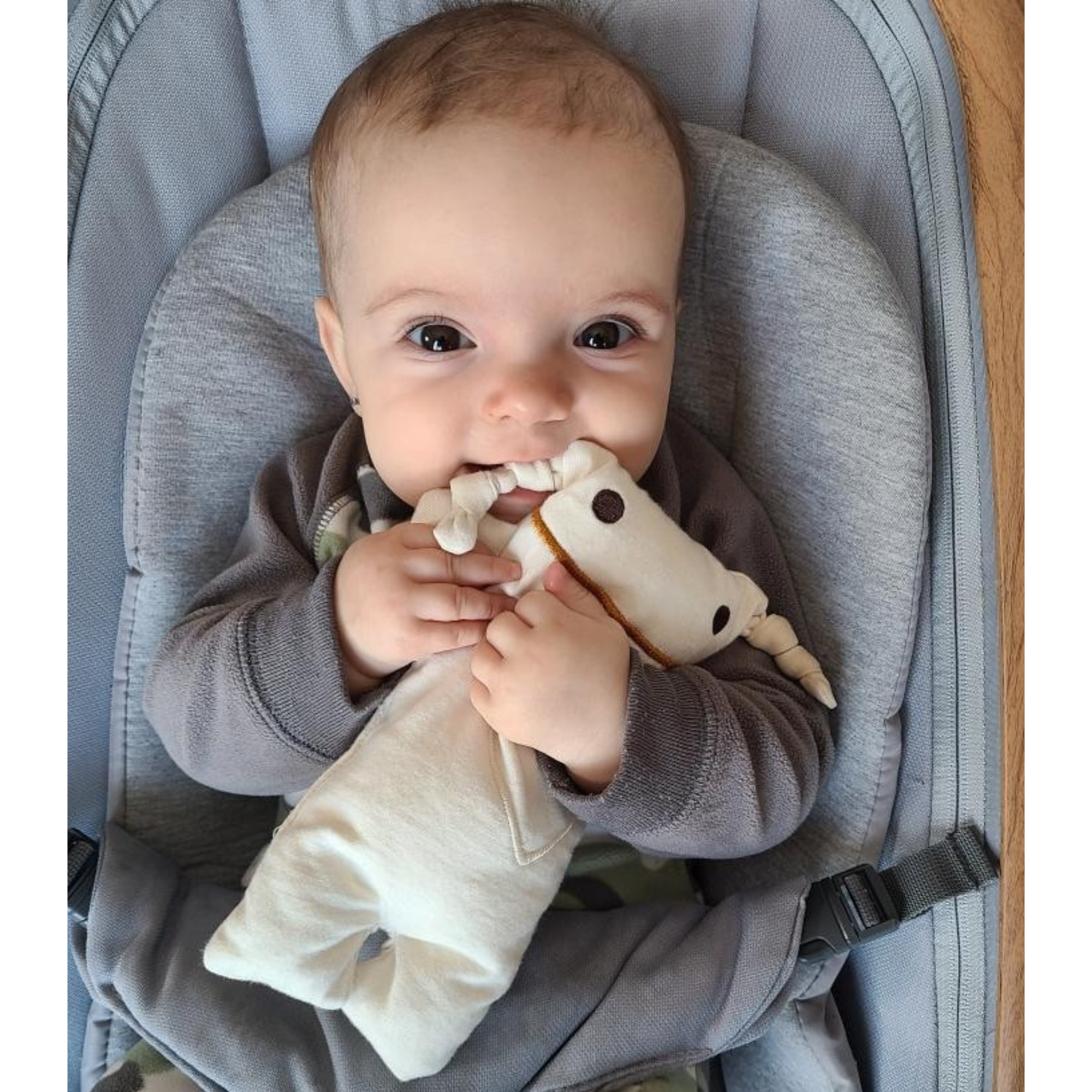 MONSIEUR TSÉ-TSÉ - L&